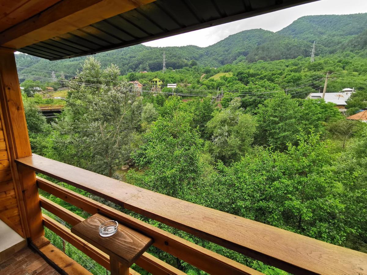 Casa Vio Guest House Nehoiu Exterior foto