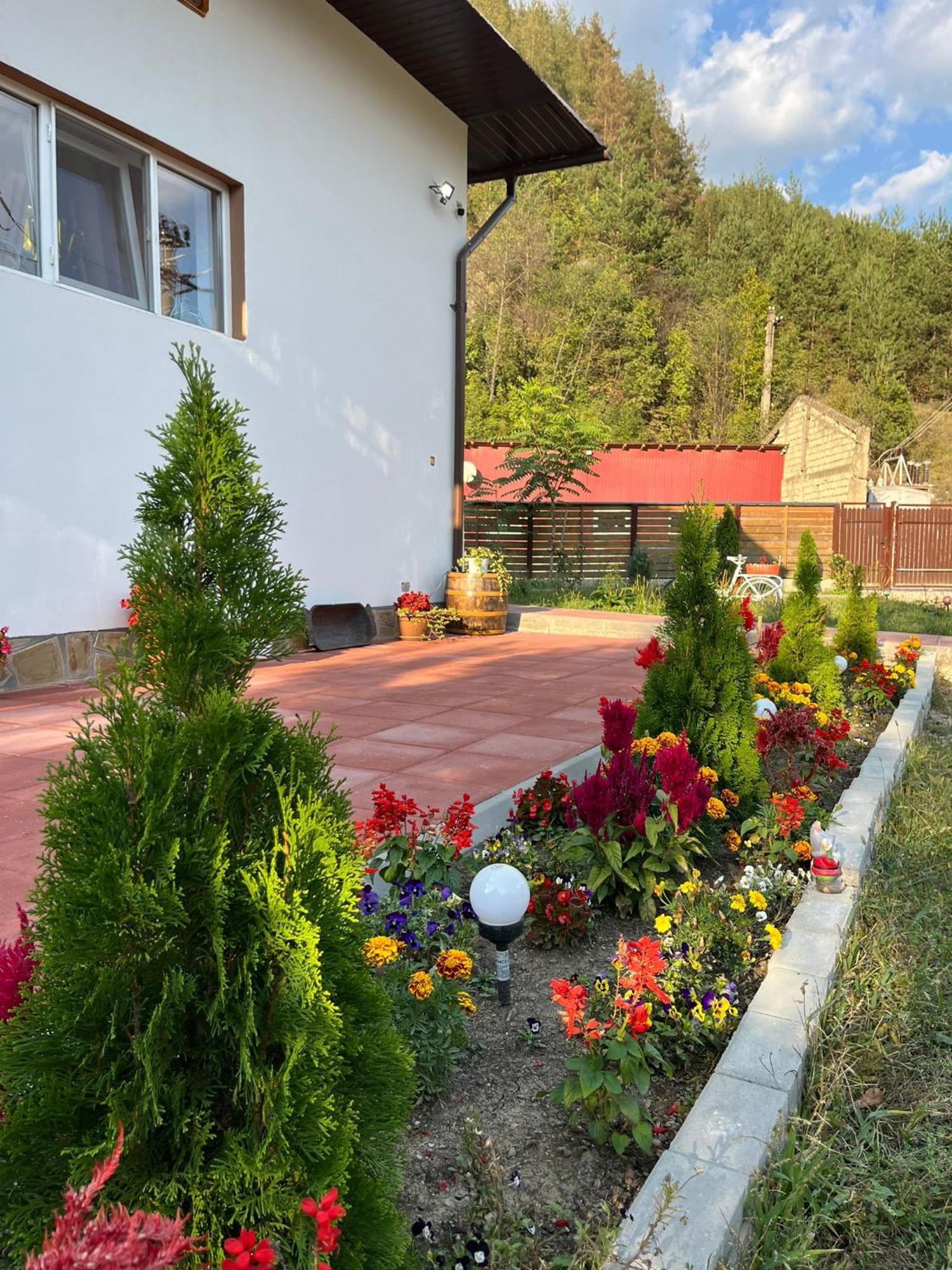 Casa Vio Guest House Nehoiu Exterior foto